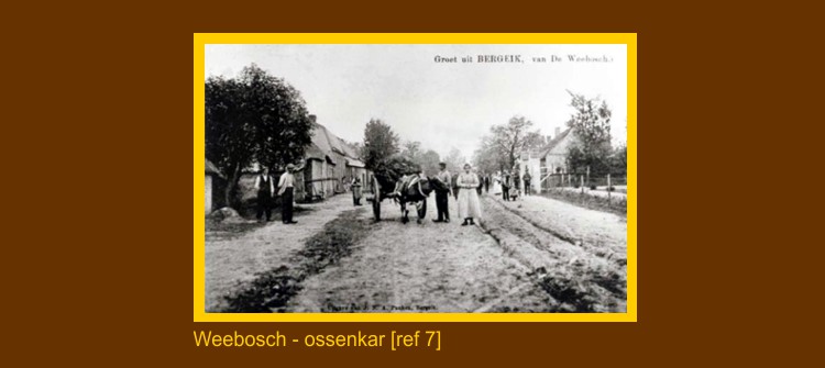 Weebosch - ossenkar (48K)